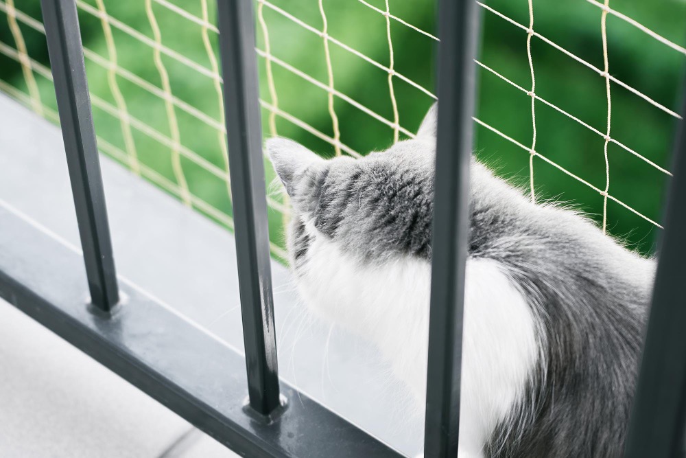 Redes Proteger - Instalação de Redes de Proteção em São Paulo